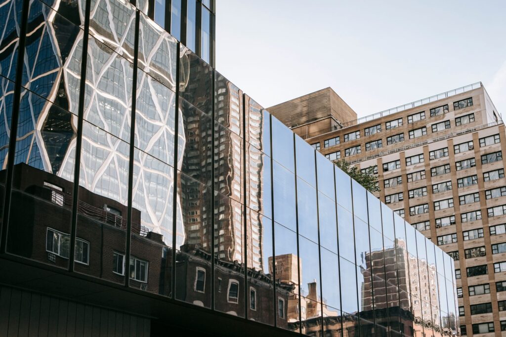 Municipal transparency reshapes urban renewal dynamics
