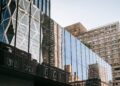Municipal transparency reshapes urban renewal dynamics