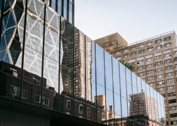 Municipal transparency reshapes urban renewal dynamics