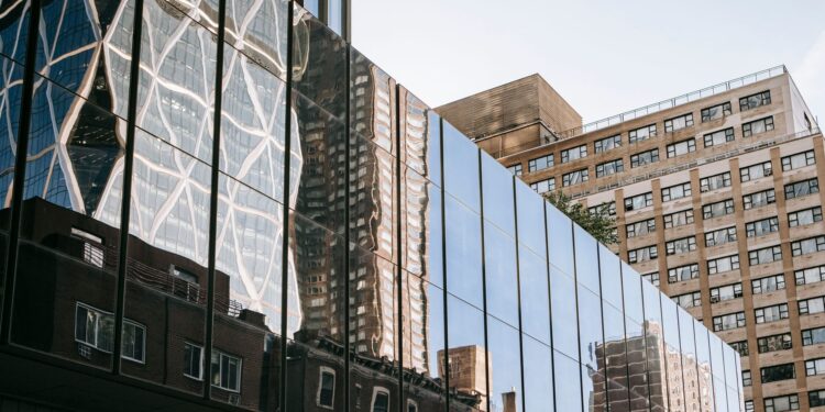 Municipal transparency reshapes urban renewal dynamics