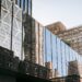 Municipal transparency reshapes urban renewal dynamics