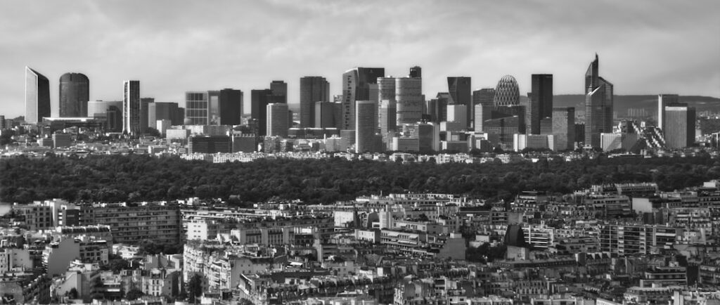 Municipal transparency reshapes urban renewal dynamics