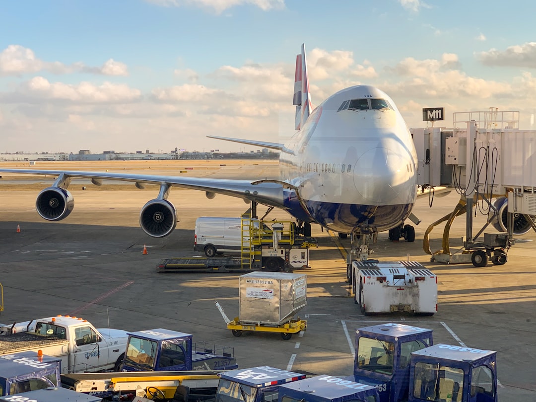 Skyways Air Services IPO: Weighing Investment Risks