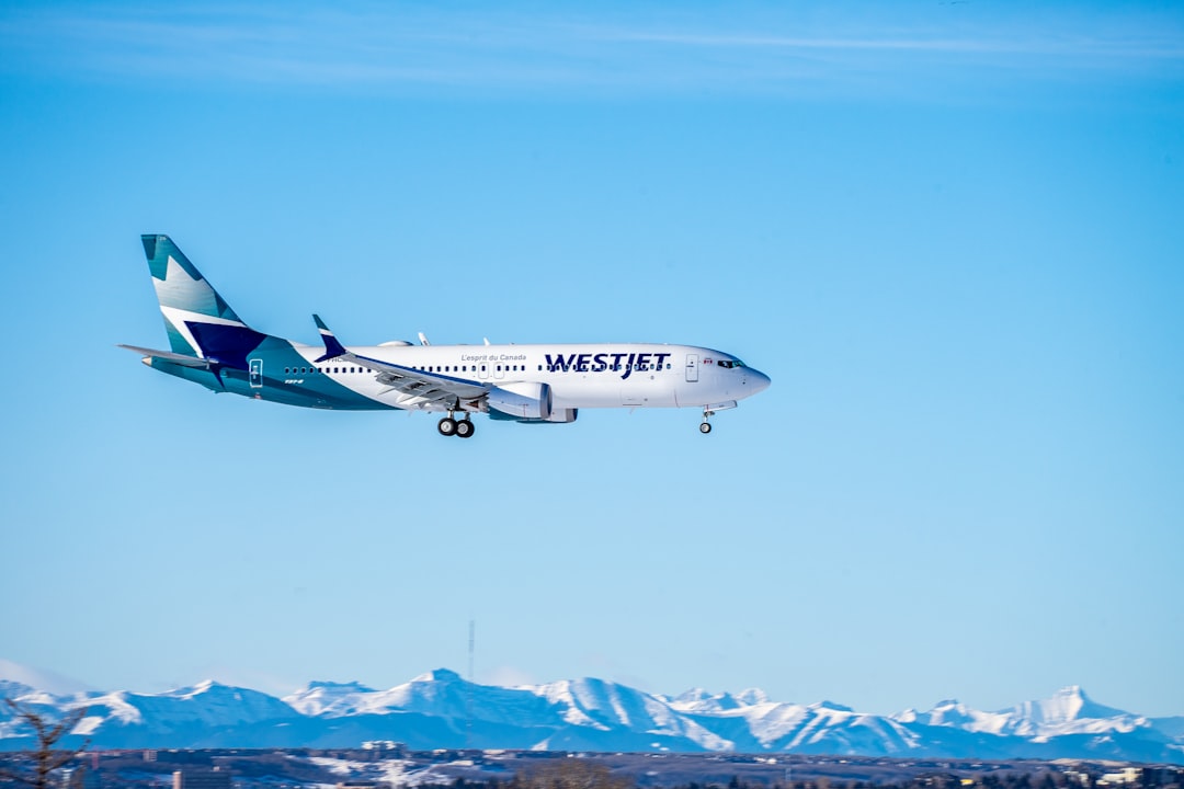 Boeing 737 Max Inspections Ordered for Fuselage Cracks