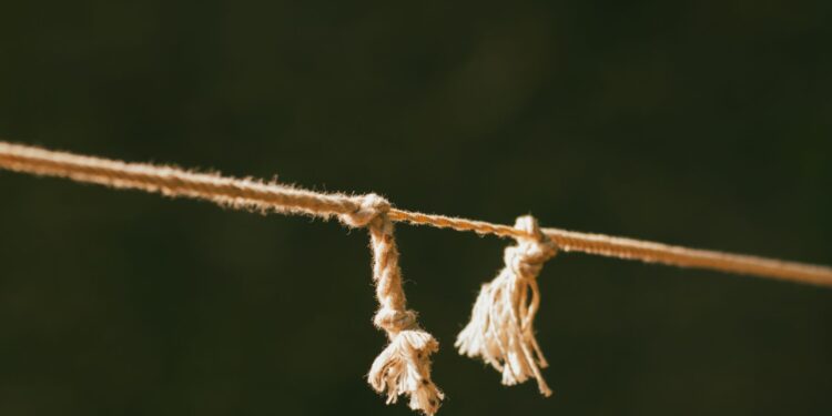 Over‑Adaptation Undermines Career Growth Trajectories