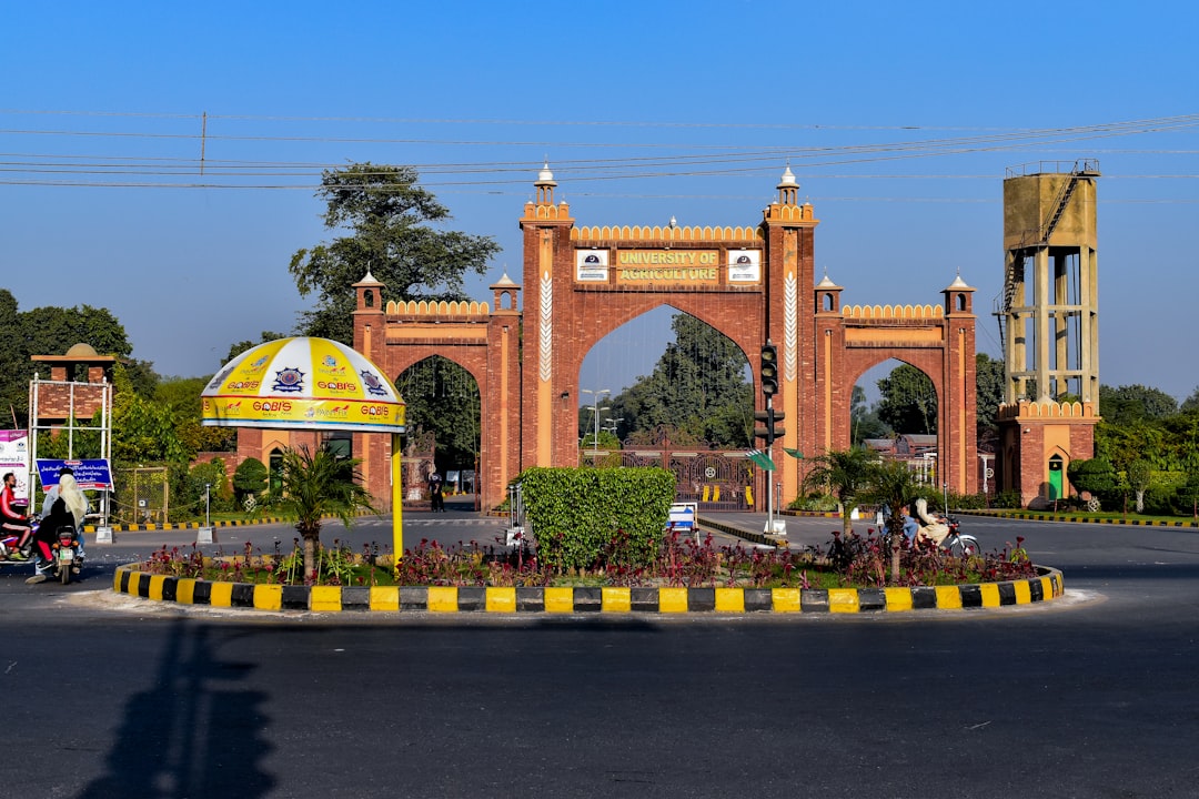 Punjabi University Offers Executive PhD for Working Professionals