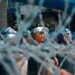 South African Anti‑Immigration Protesters Force Immigrants from Homes in Johannesburg and Durban