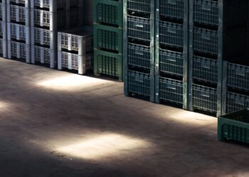 The comfort trap: why mature firms miss meaningful innovation