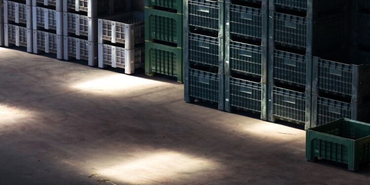 The comfort trap: why mature firms miss meaningful innovation