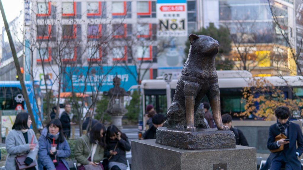 Three Lions Die of Suspected Heatstroke at Tokyo’s Tama Zoological Park