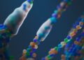 Three Patterns Driving the Push for a Pediatric Human Cell Atlas