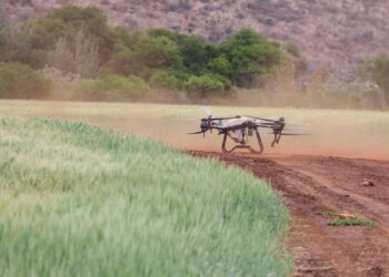Versatile RobotX Secures Over £1 Million to Commercialise Agricultural Robots