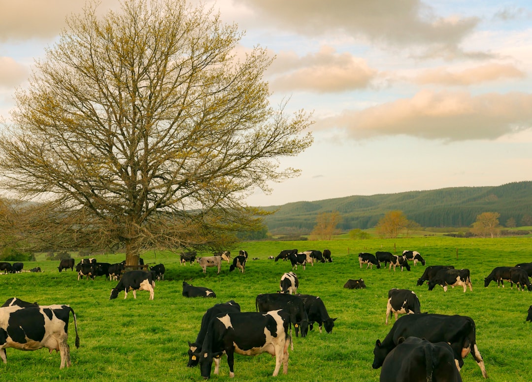 Flipboard Acquires Graze to Monetize Social Feeds