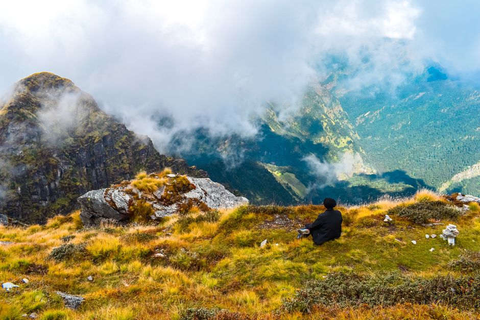 Mentorship Gains: Clarity, Trading, Life Lessons