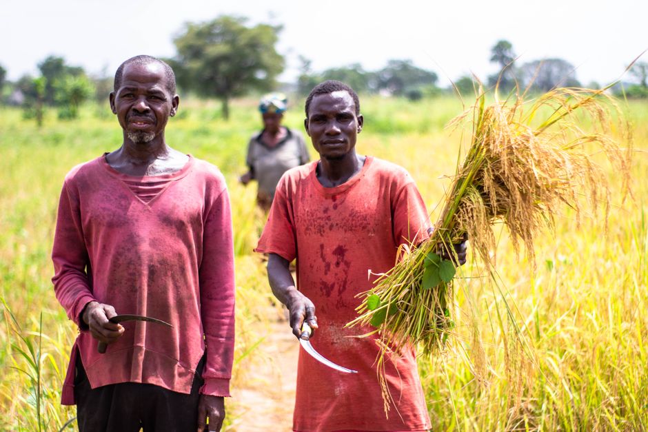 AI Tools Boost African Farmers' Resilience Against El Niño