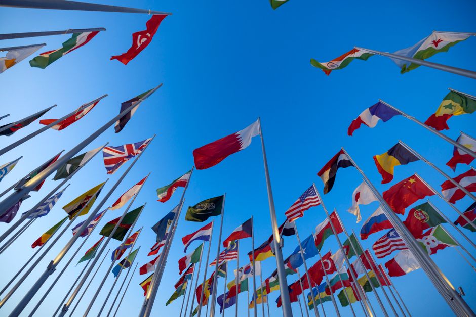 Global AI Cooperation Essential for Safety Standards