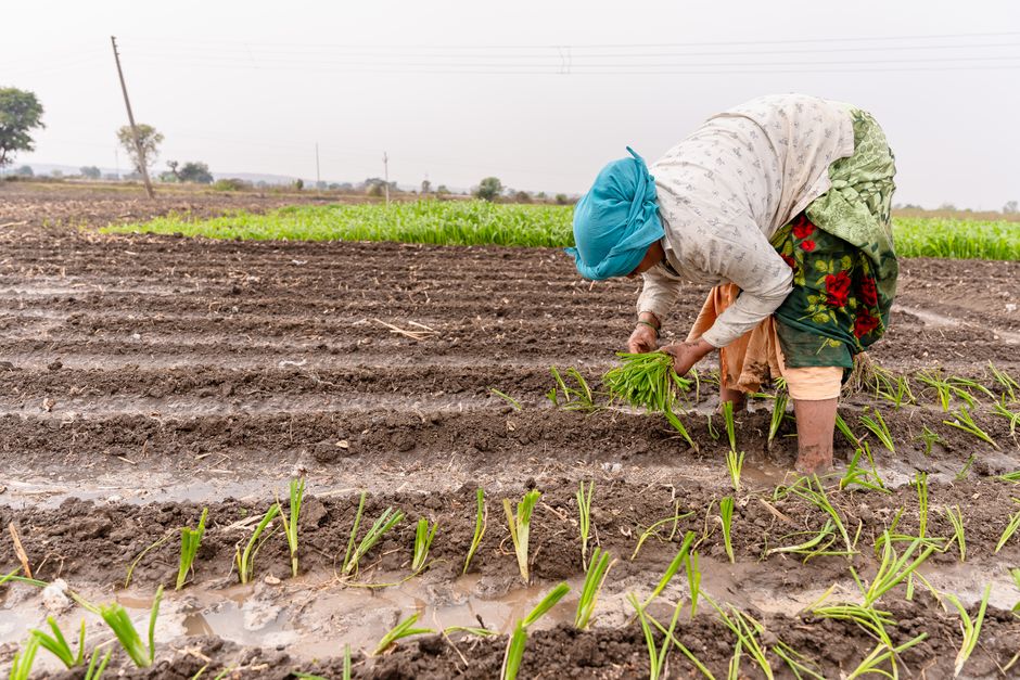 Maharashtra Restructures Crop Loans Amid Drought Relief