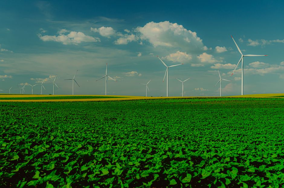 NTPC and EDF Join Forces for Renewable Energy Projects in India