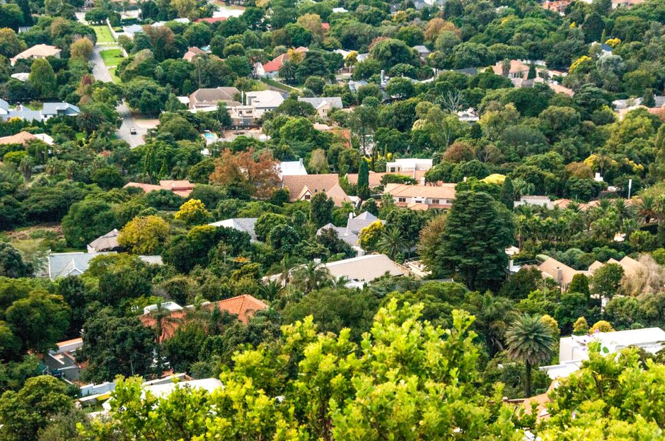 Momentum Expands South Africa Adviser Network Through Acquisitions