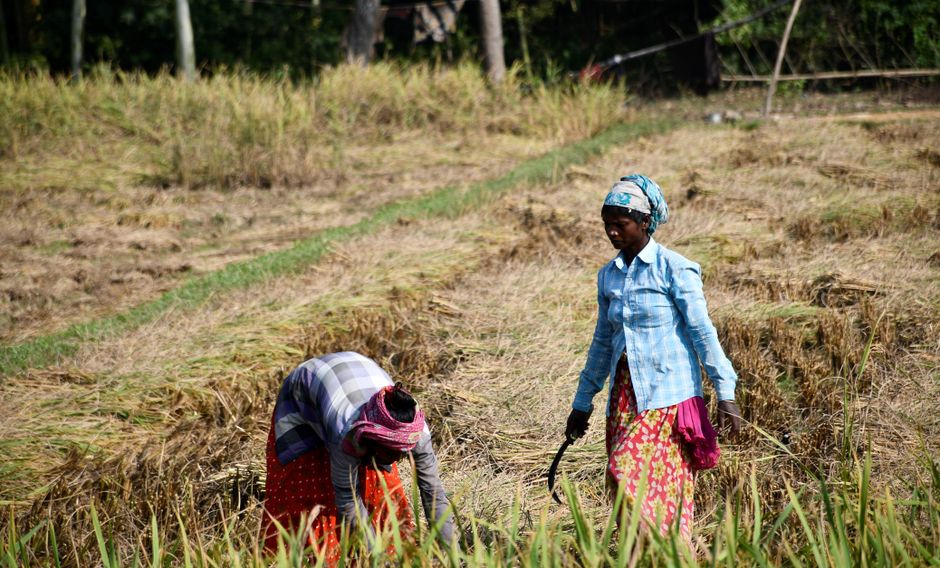 $2.6 Billion Commitment from Ecobank for Women Entrepreneurs