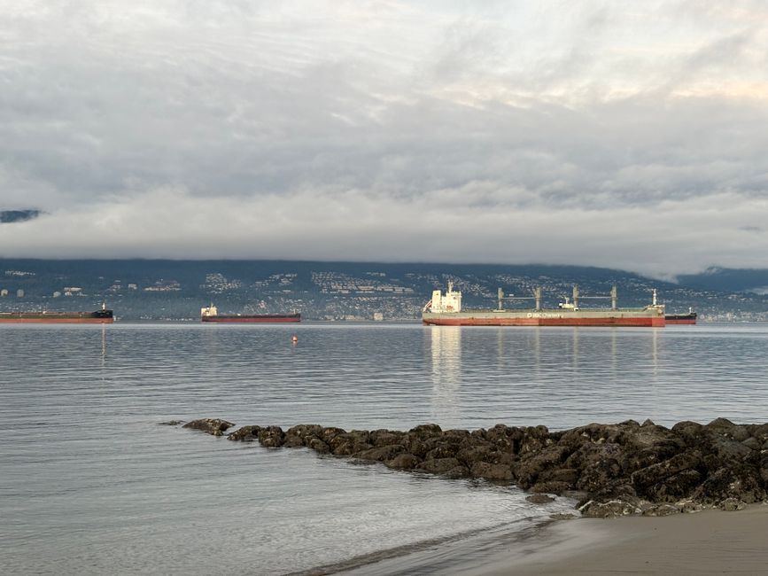 Canadian M&A Sentiment Amid Trade War
