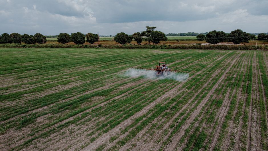 EU Trade Partners Call for Retreat From Pesticide Curbs Plan