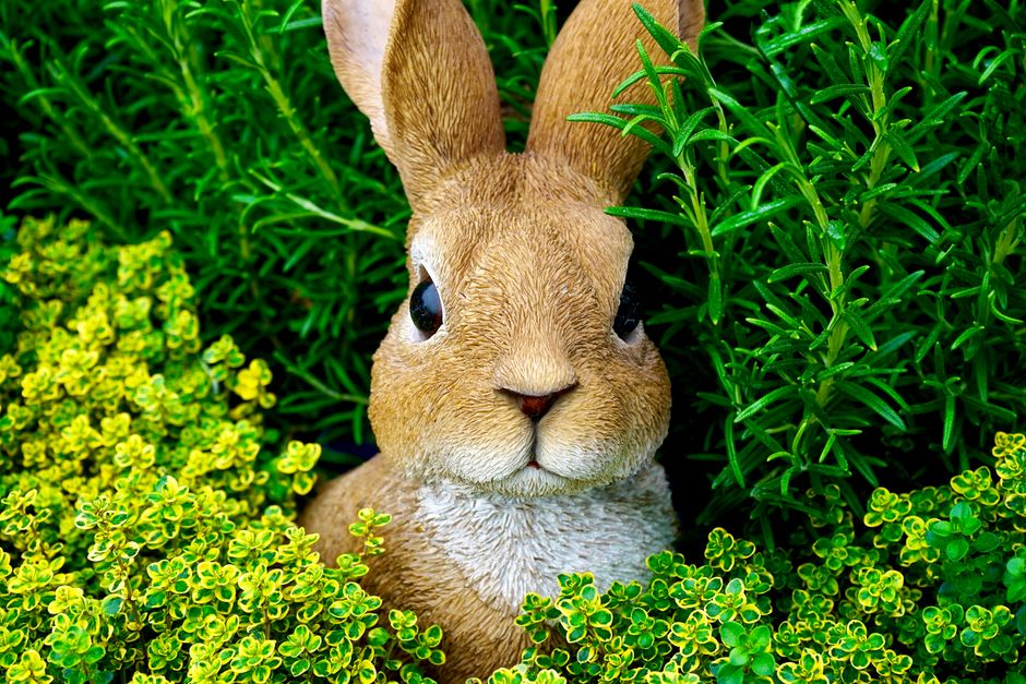 Rabbit's New AI Agent Transforms Deployment Without R1 Hardware