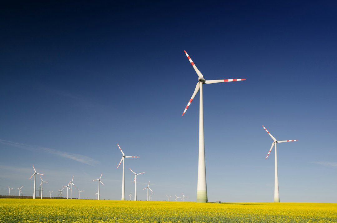 How the oil capital of the US welcomed a solar power boom
