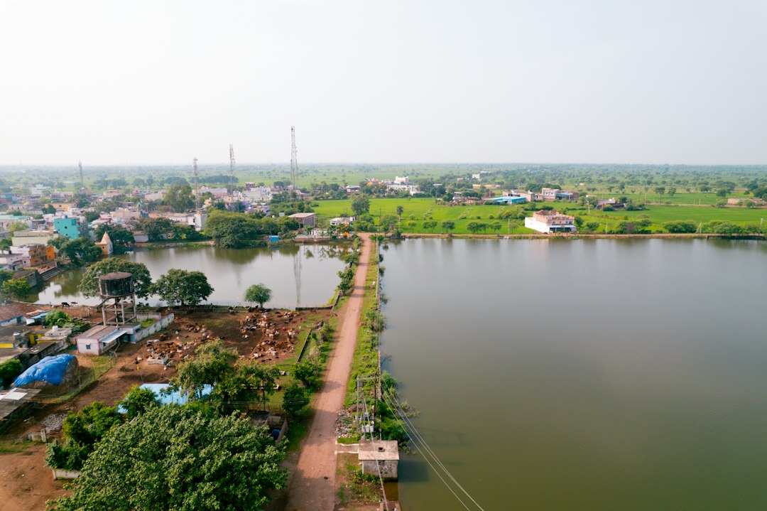 Chhattisgarh Portal Verifies Private University Degrees Online