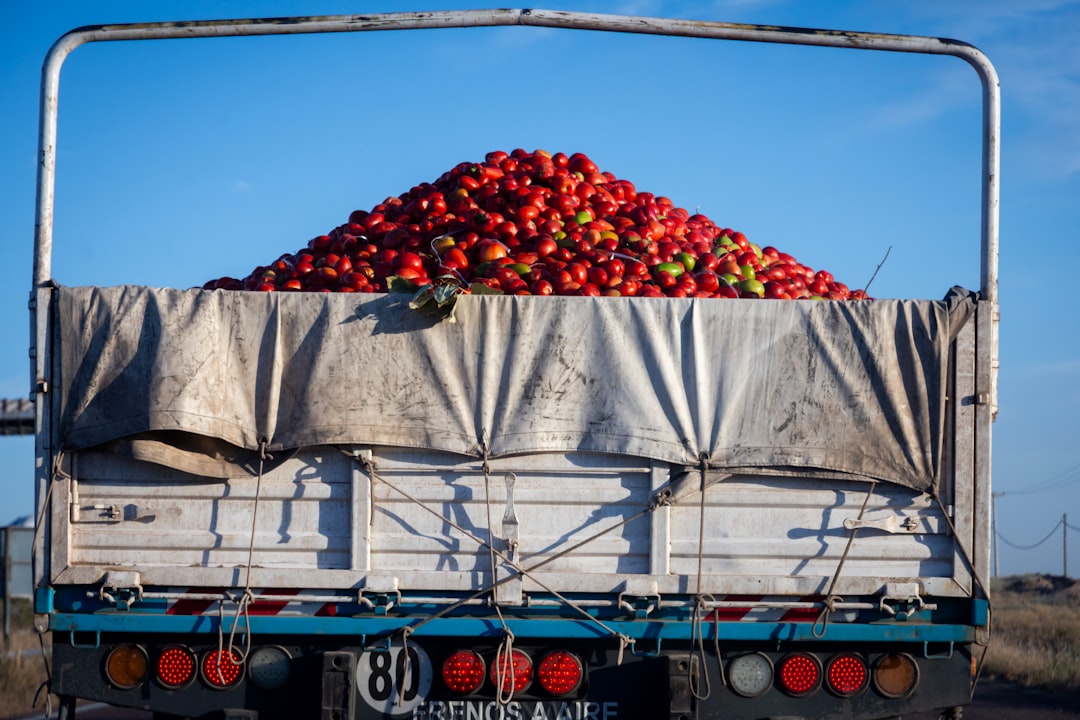 Argentine Economy Posts First Quarterly Contraction Since 2024