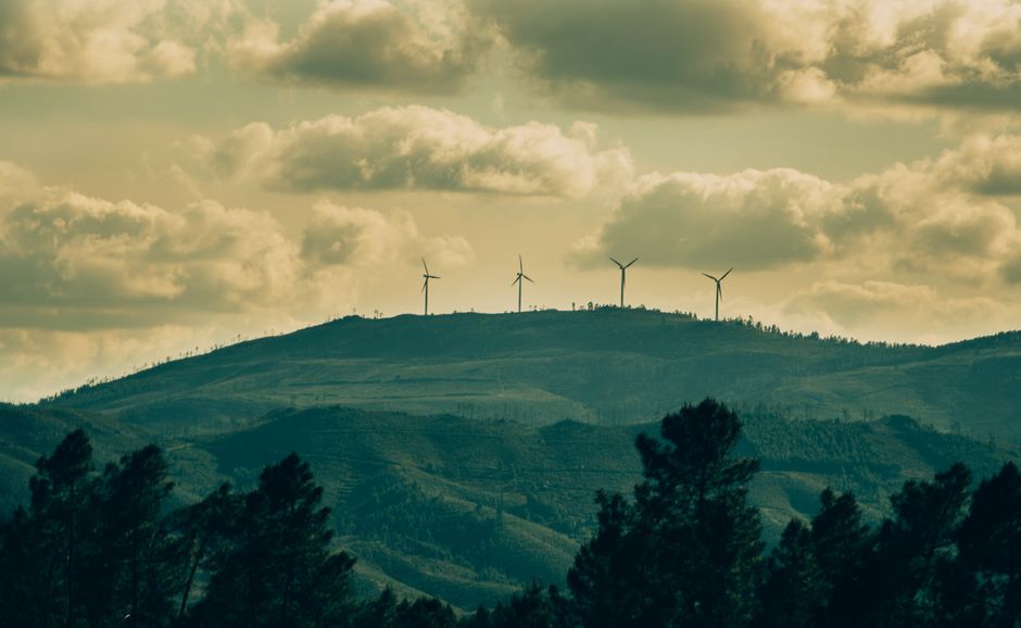 NTPC and EDF Join Forces to Advance Renewable Energy Projects in India