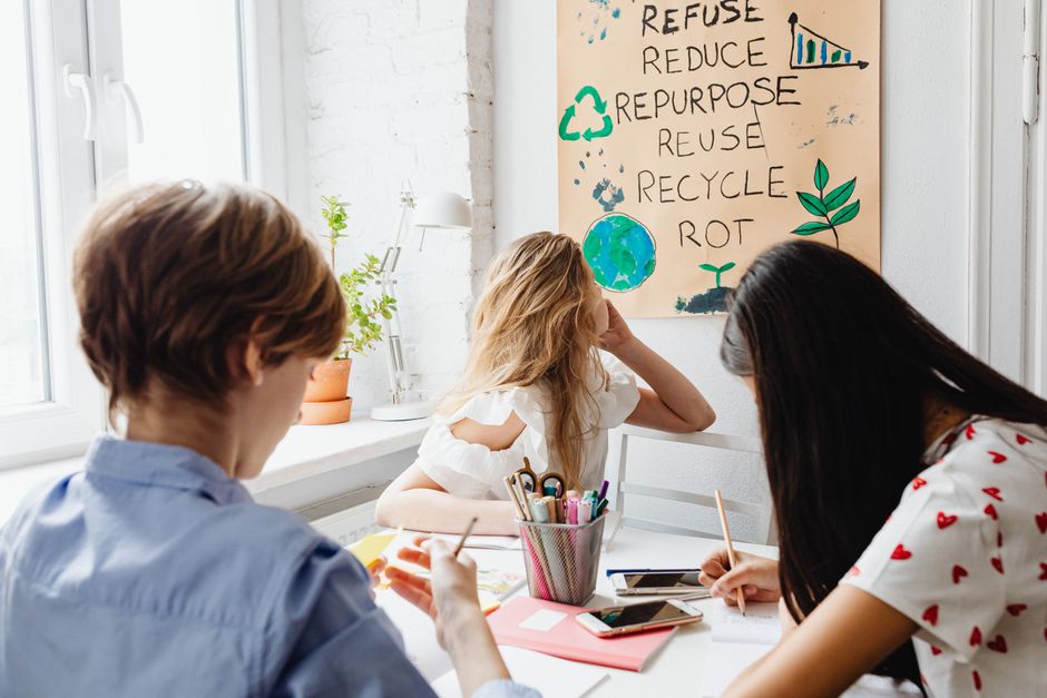 How Interdisciplinary Skills Shape Sustainable Development Careers