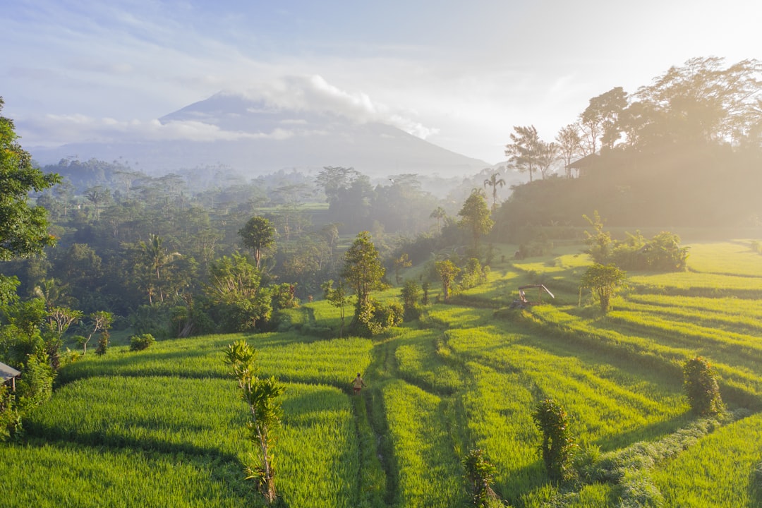 How Indonesia's E20 Bioethanol Push Impacts Biofuel Jobs