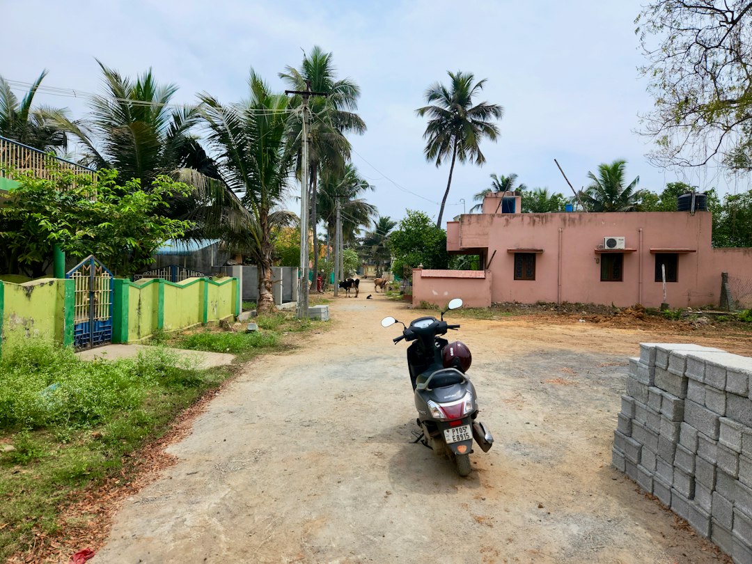 Tamil Nadu Universities Get Interim Vice-Chancellors