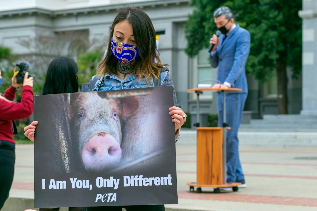 Gavin Newsom is pushing for an AI kill switch