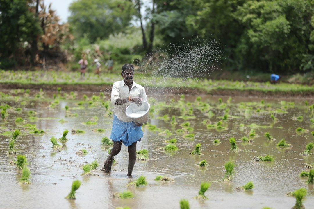 ADB upgrades India, but El Nino spoils party