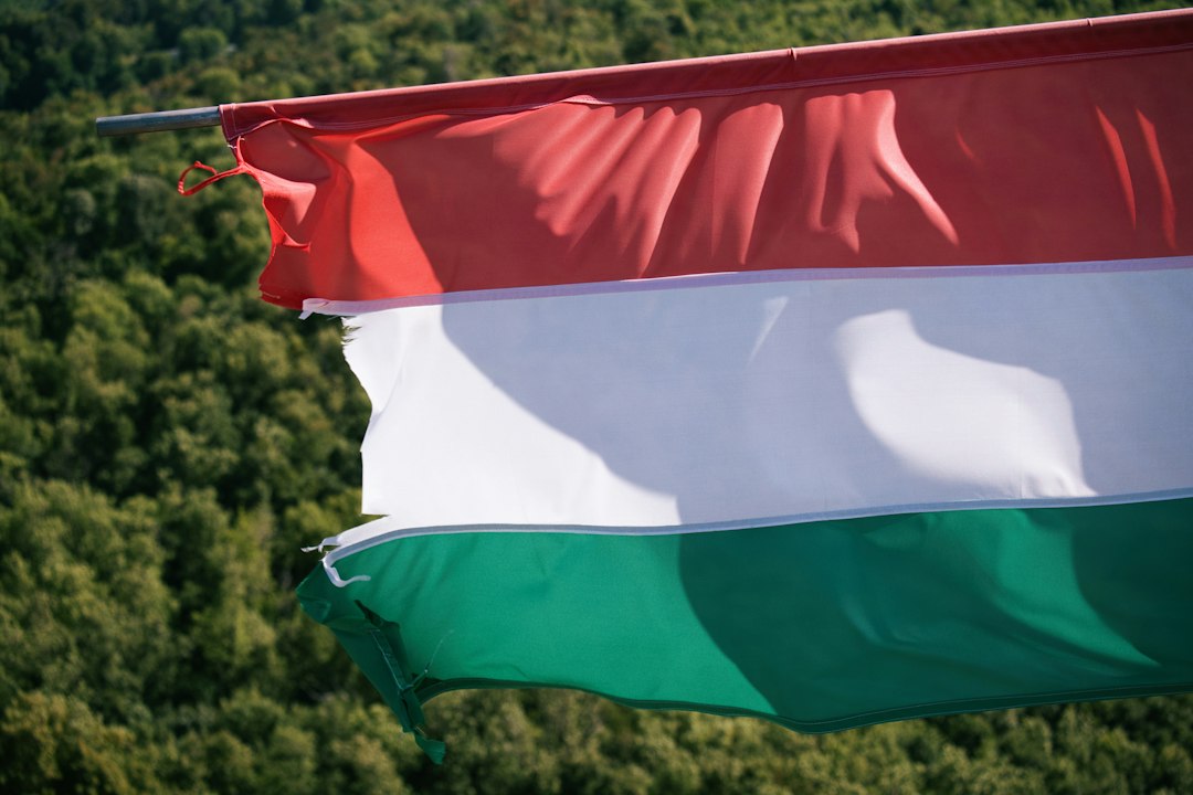 Hungary Lowers Inflation Goal to 2.5% in Shift Towards Euro Adoption