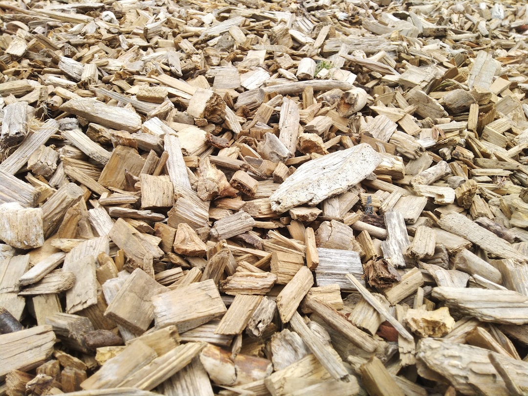 AI-Driven Chip Demand Sparks Semiconductor Super Cycle
