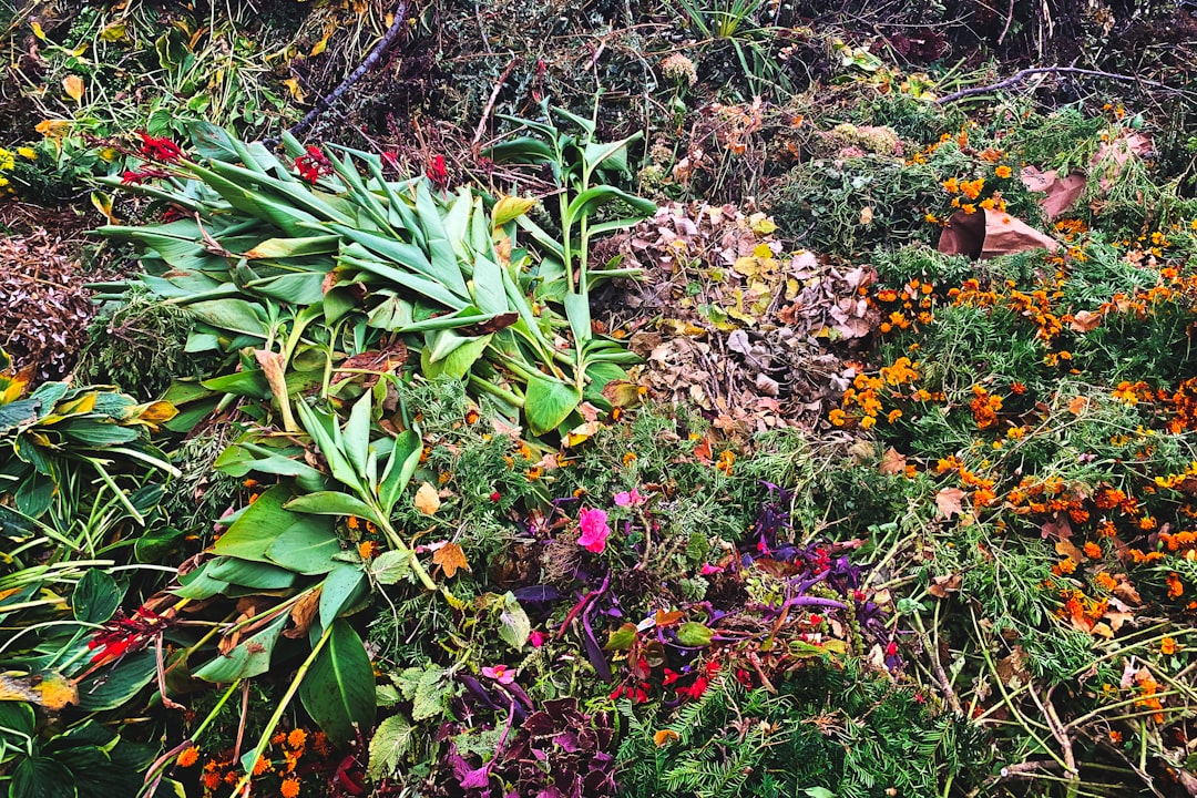 Hear how AI can engineer nature’s comeback at TechCrunch Disrupt 2026