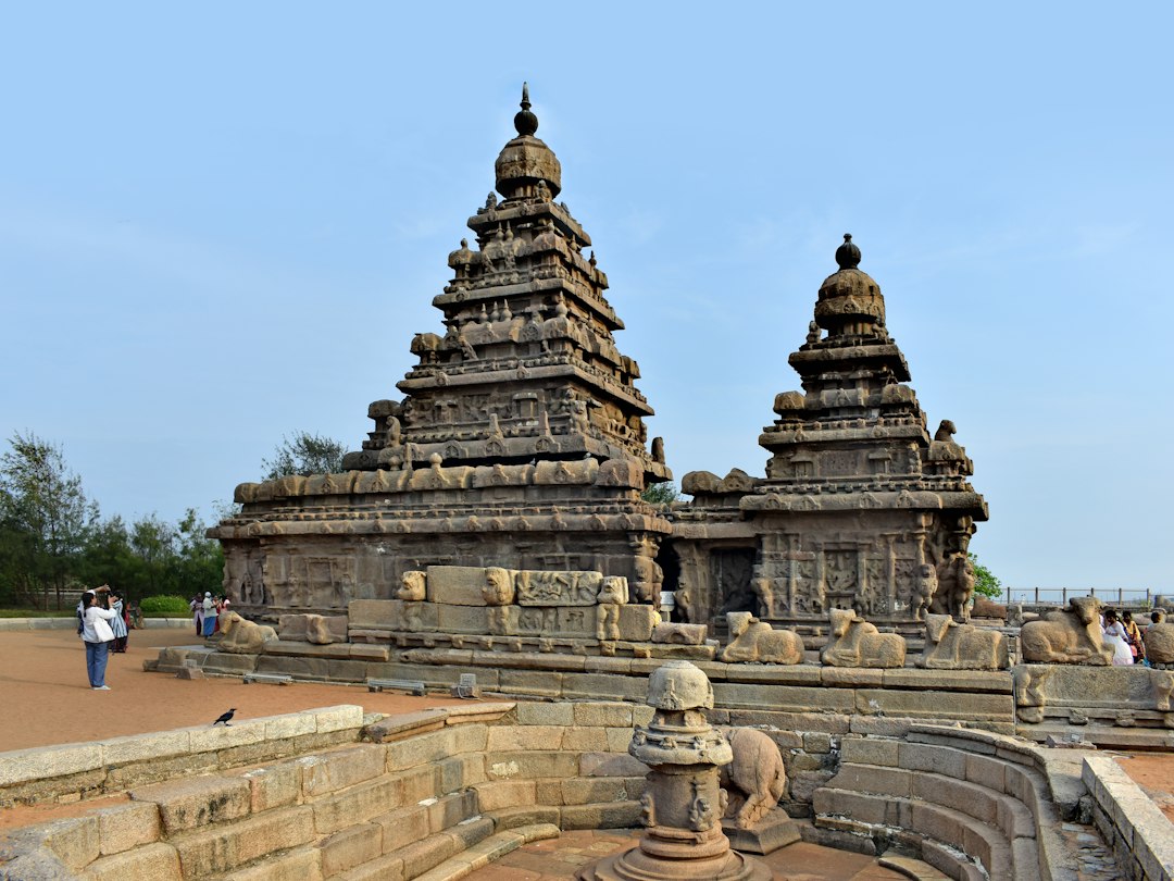 Tamil Nadu Introduces 'One Degree, Six Skills' Initiative