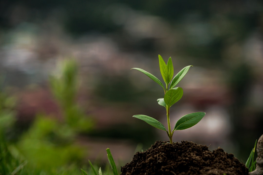 GDP Growth Fuels New Investment Strategies