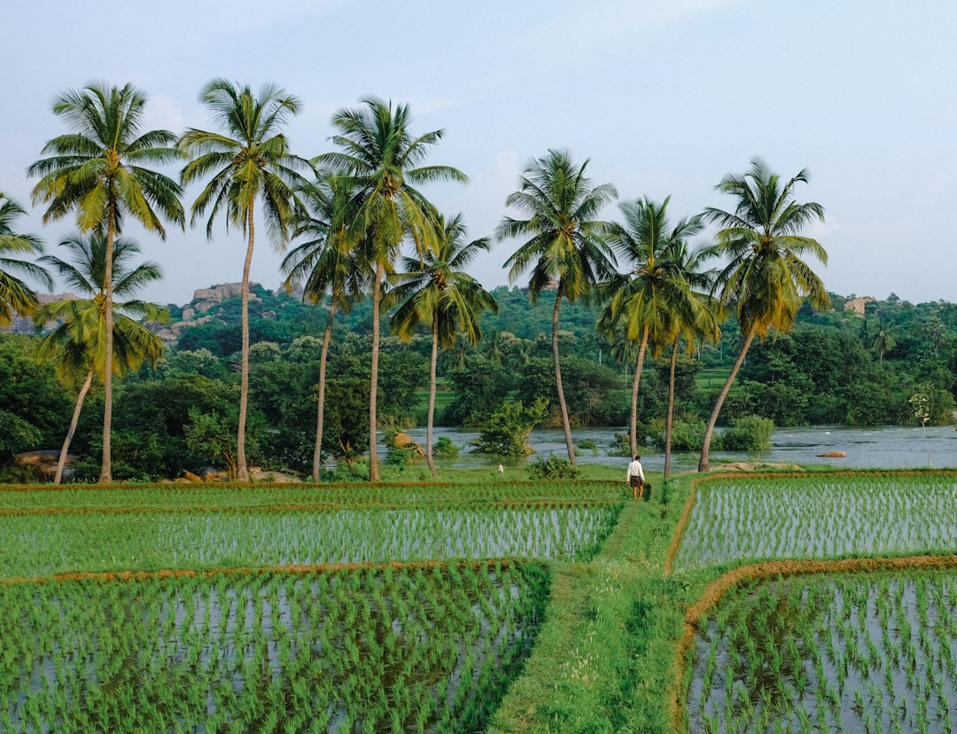 India-New Zealand FTA Transforms Agricultural Exports