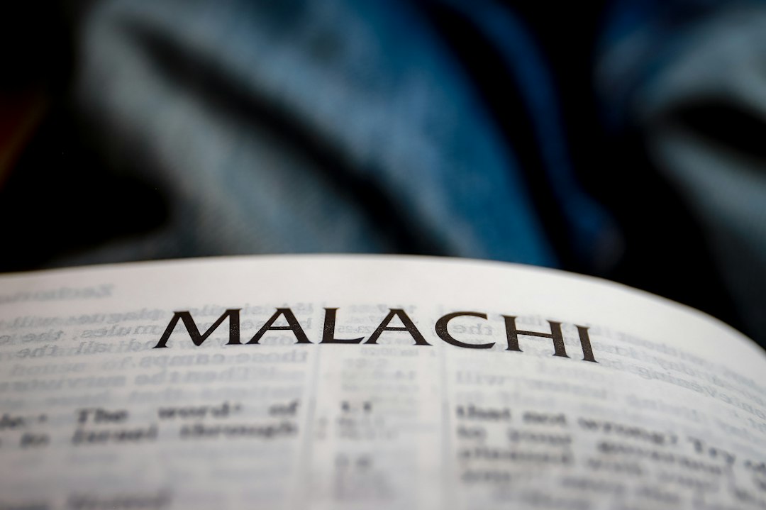 Malpractices in Phytosanitary Certification Hurt Agri-Exports