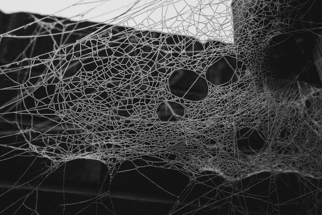 AI‑Driven Roles Redefine Viable Career Pivots