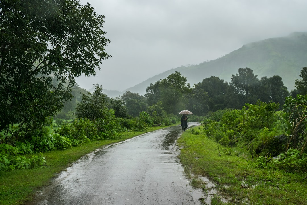 India's Weakest Monsoon Since 2015 Hits Farmers, Drags on Economy