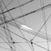 Global trade realigns as AI fuels new supply chains