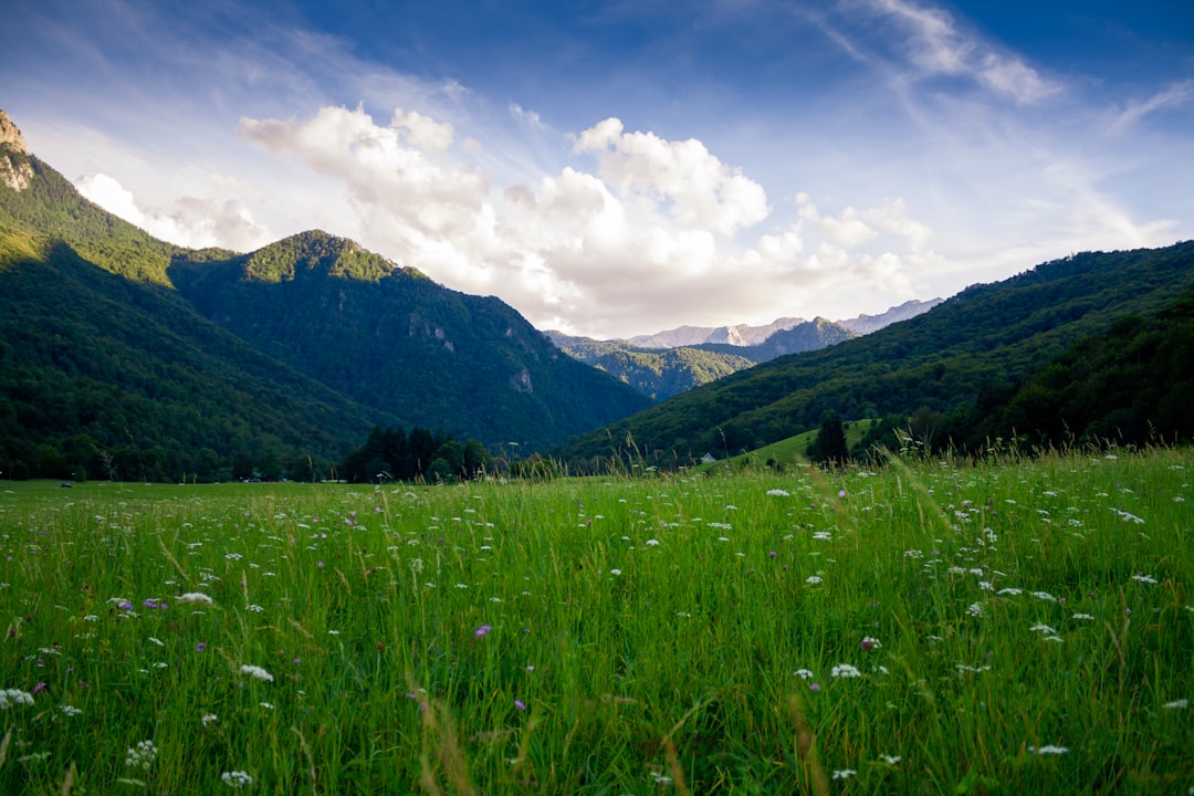 Enveda Raises 1M for Nature-Derived AI Drug Trials