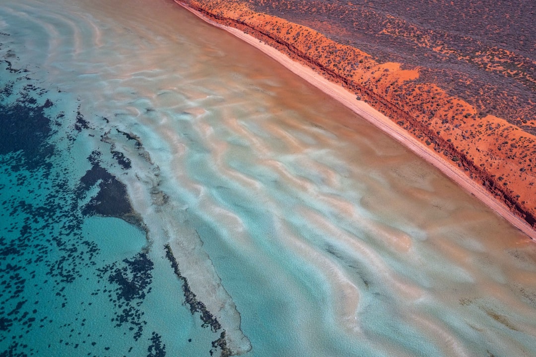 Seafloor Mining Gains Support from Metals CEO
