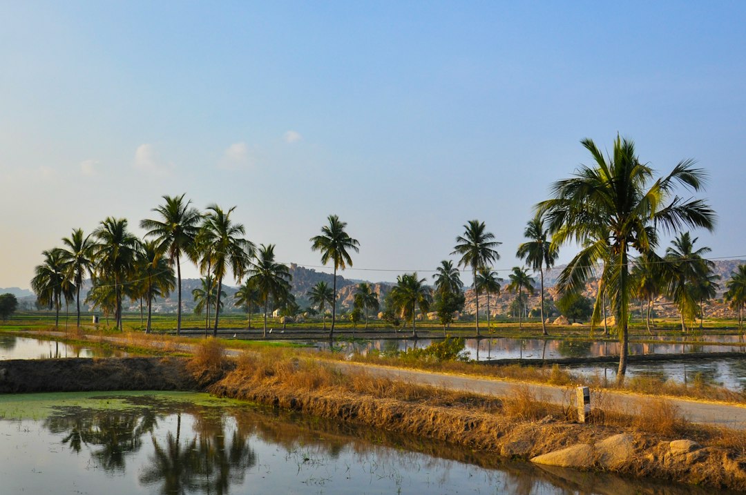 Karnataka Farmer Wins ITAT Case on Cash Sales Without Expense Records