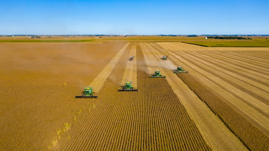 The AI telling farmers when to harvest